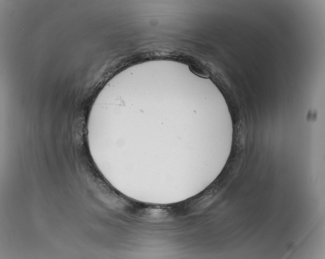 X0000110770509200907061122