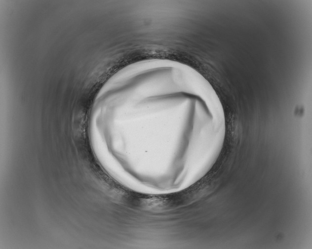 X0000110770511200907061122