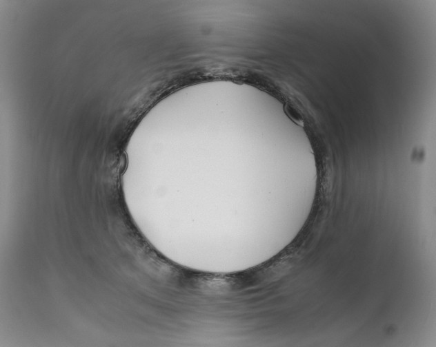 X0000110770513200907061122