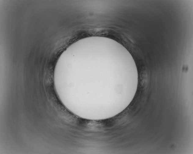 X0000110770515200907061122