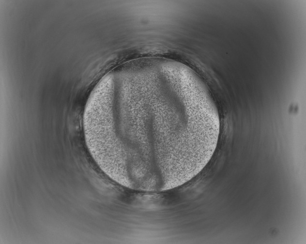 X0000110770517200907061122