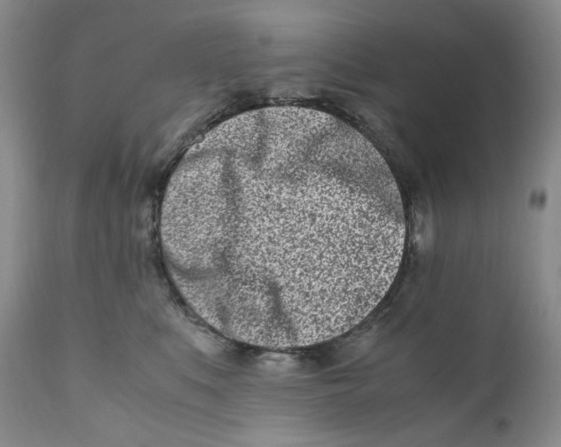 X0000110770519200907061122