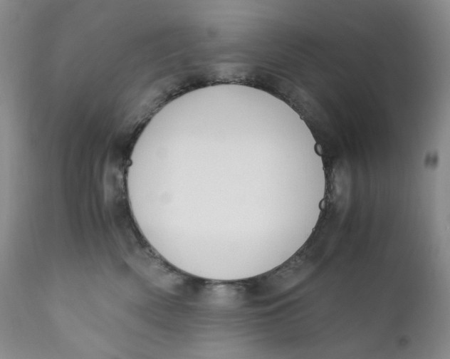 X0000110770522200907061122