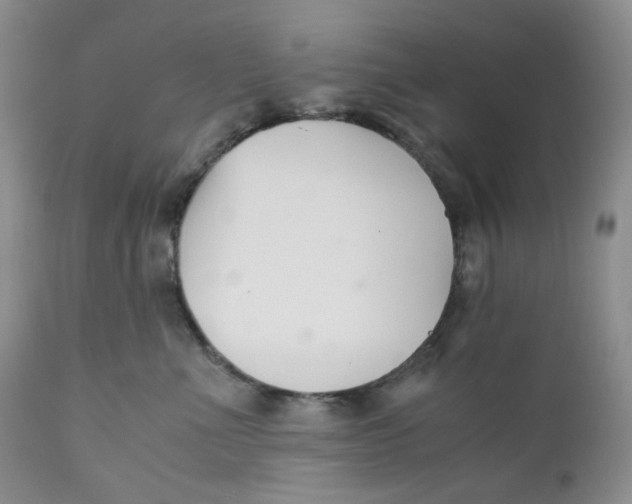 X0000110770523200907061122