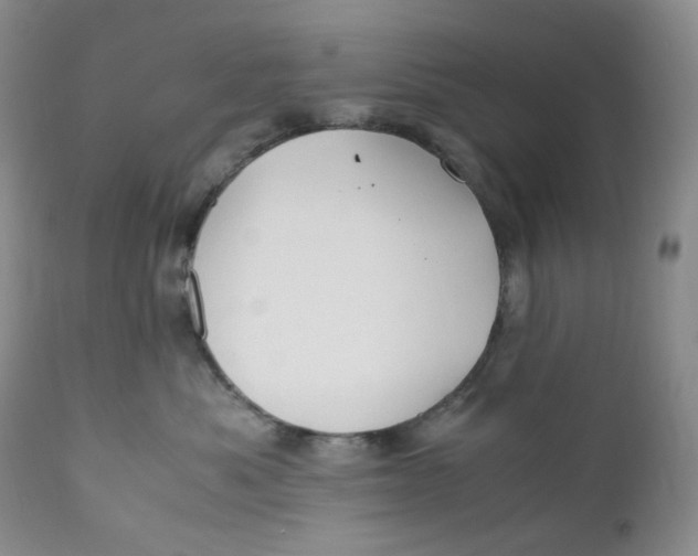 X0000110770525200907061121