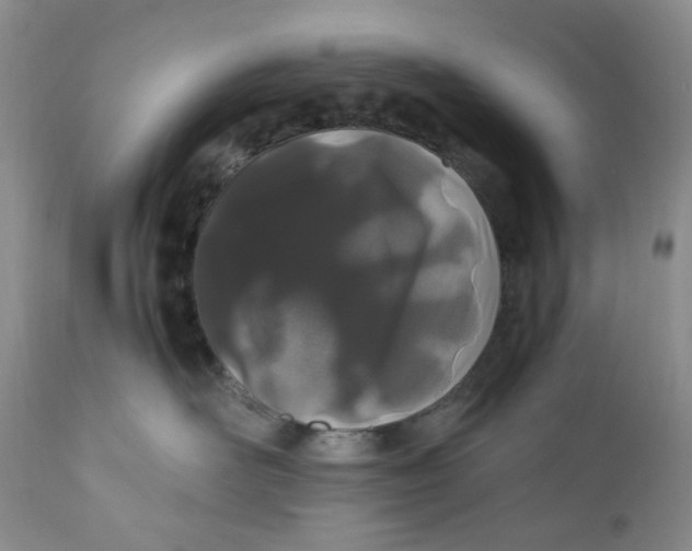 X0000110770526200907061121