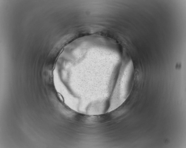 X0000110770527200907061121