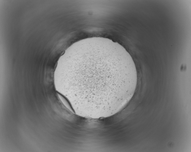 X0000110770528200907061121