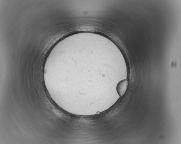 X0000110770529200907061121