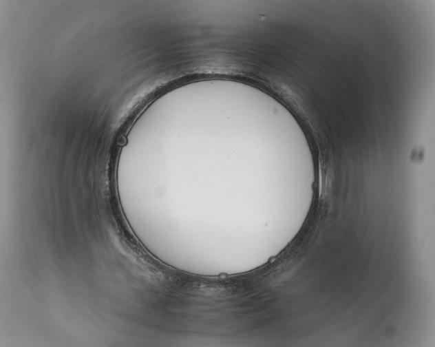 X0000110770531200907061121