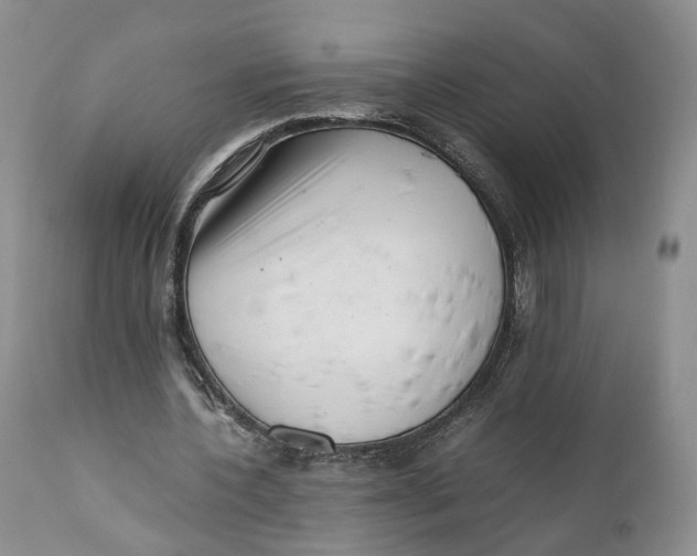 X0000110770532200907061121