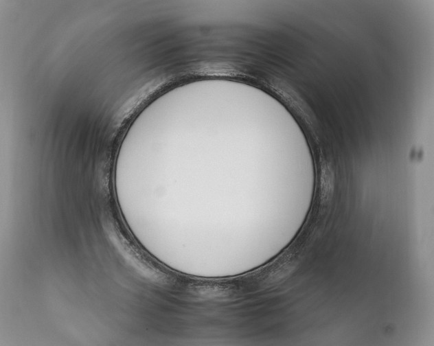 X0000110770533200907061121