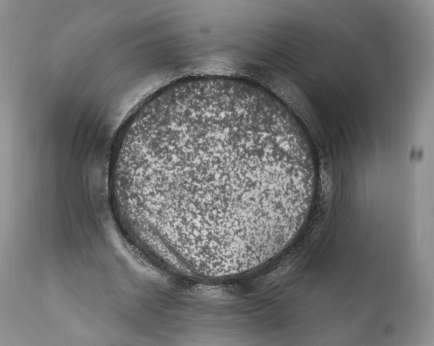 X0000110770534200907061121