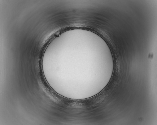 X0000110770535200907061121