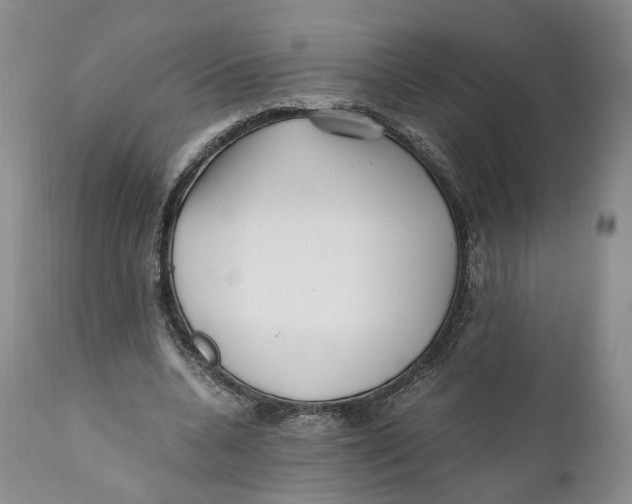 X0000110770536200907061121