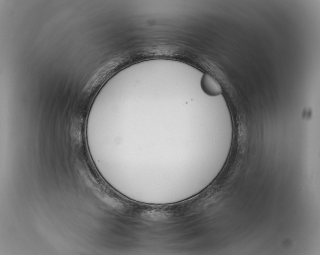 X0000110770537200907061121