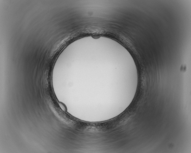 X0000110770538200907061121