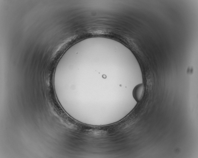 X0000110770539200907061121