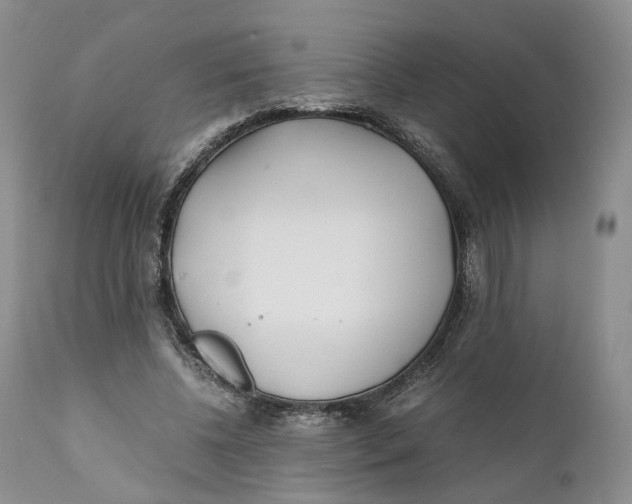 X0000110770540200907061121