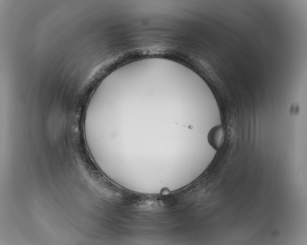 X0000110770543200907061121