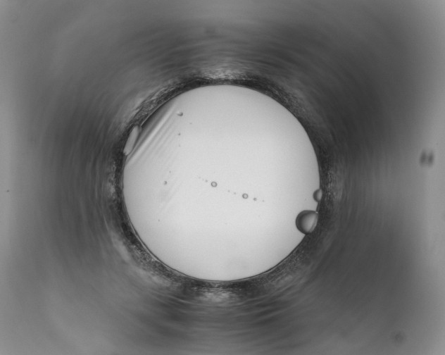 X0000110770547200907061121