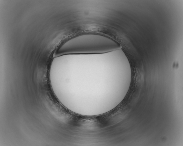 X0000110770548200907061121