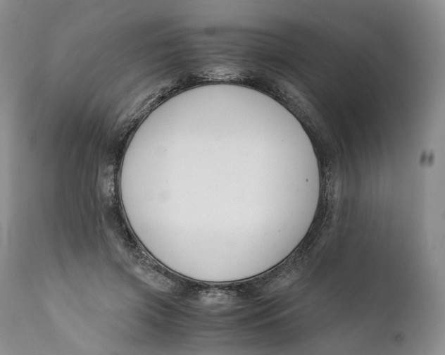 X0000110770549200907061121