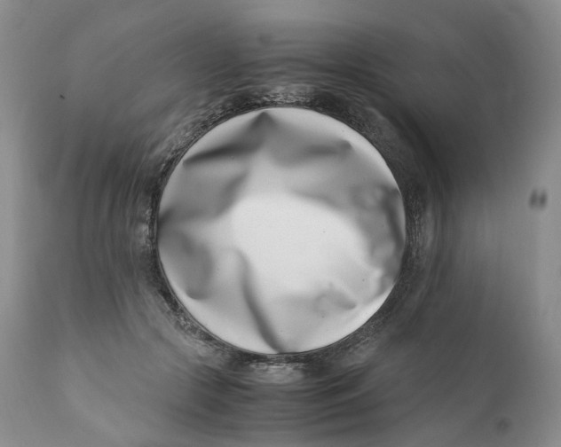 X0000110770553200907061121