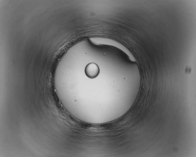 X0000110770556200907061121