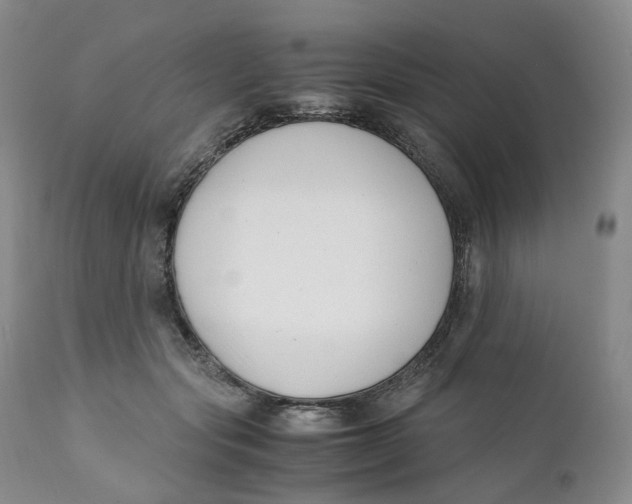 X0000110770557200907061121