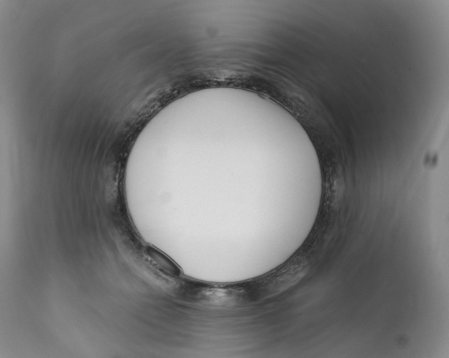 X0000110770558200907061121