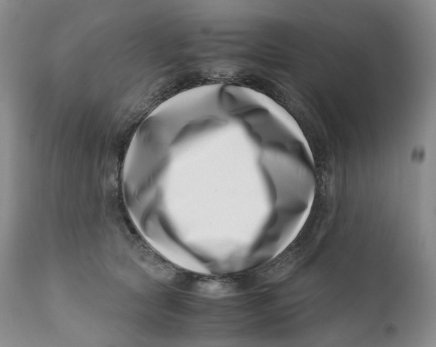 X0000110770561200907061121