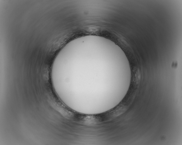 X0000110770562200907061121