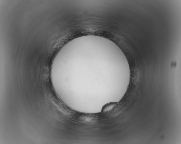 X0000110770563200907061121