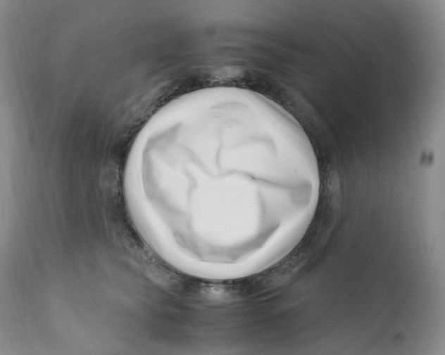 X0000110770565200907061121