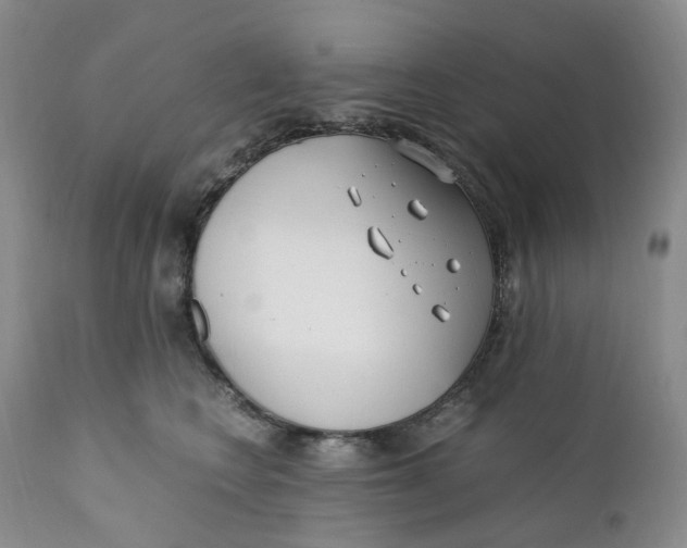 X0000110770566200907061121