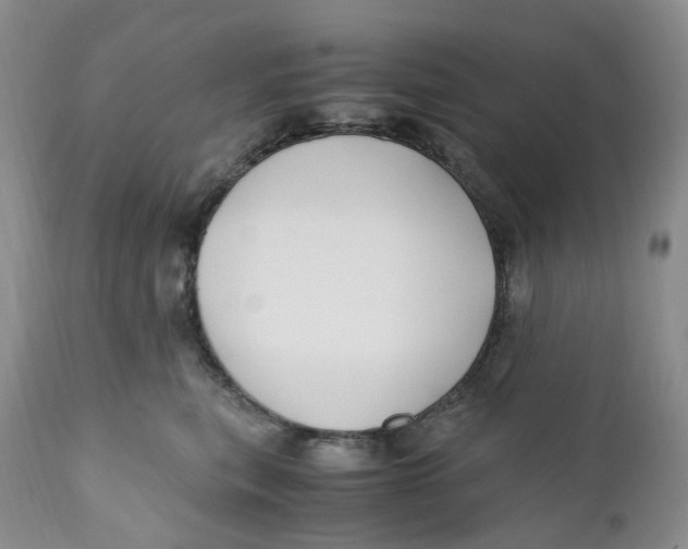 X0000110770567200907061121