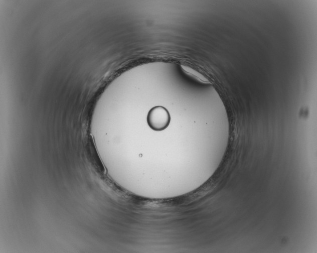 X0000110770568200907061121