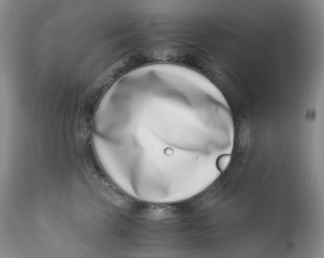 X0000110770569200907061121