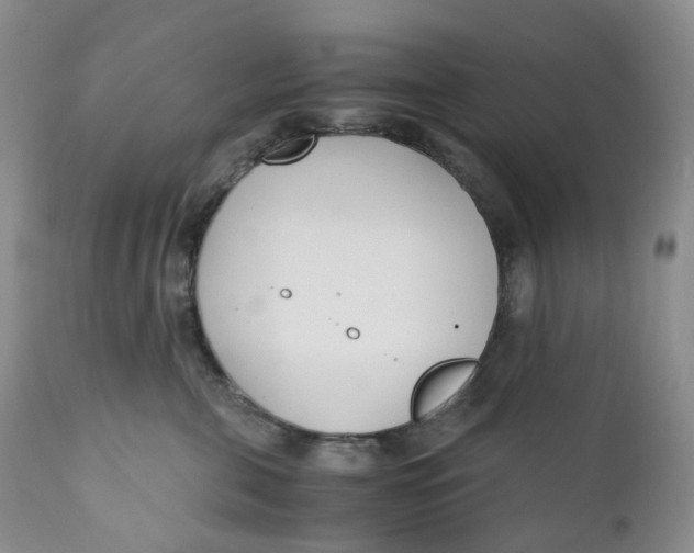 X0000110770571200907061121