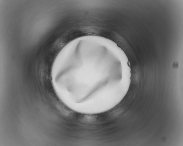 X0000110770573200907061121