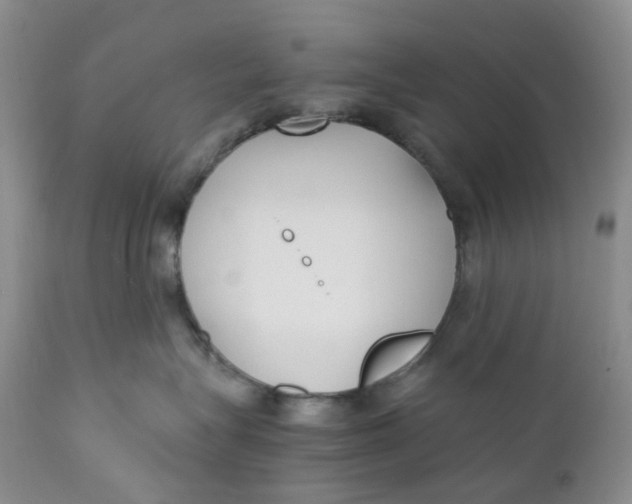 X0000110770575200907061121