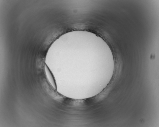 X0000110770576200907061121