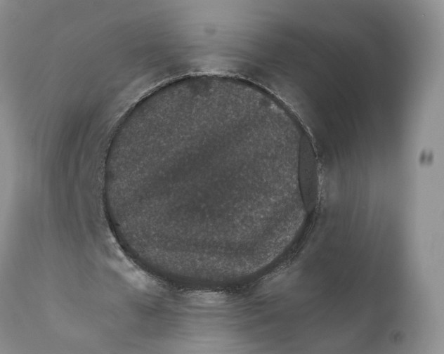 X0000110770577200907061121