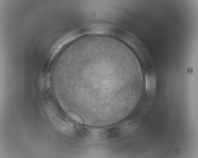 X0000110770579200907061121