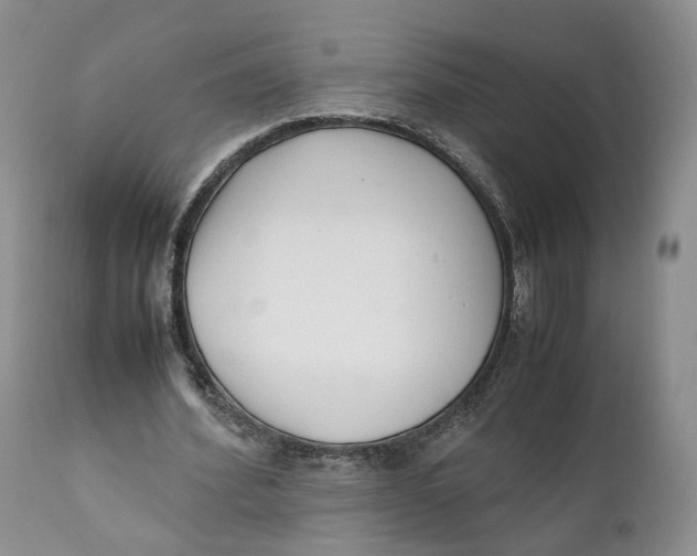 X0000110770580200907061121