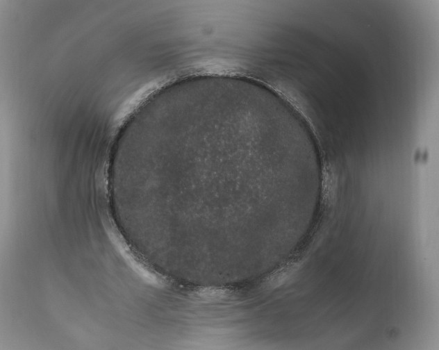 X0000110770581200907061121