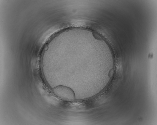 X0000110770583200907061121