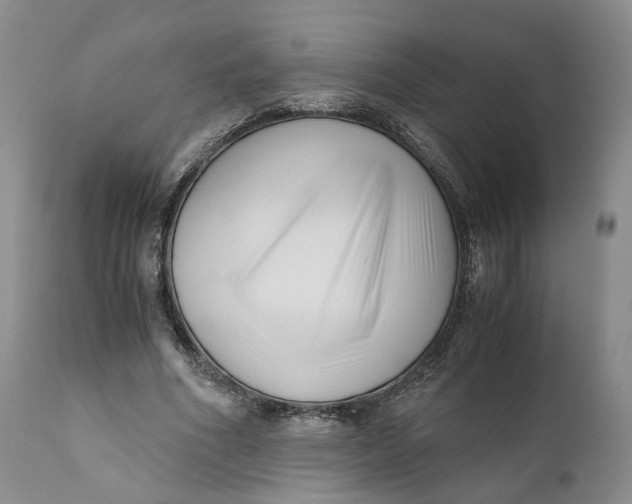 X0000110770586200907061121