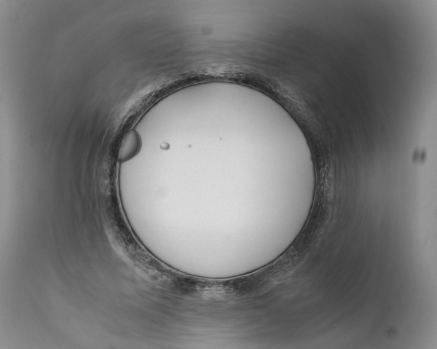 X0000110770587200907061121